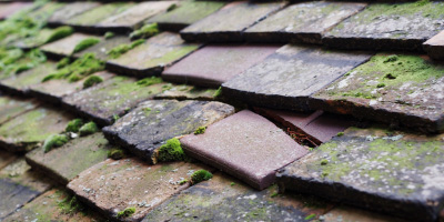 March roof repair costs